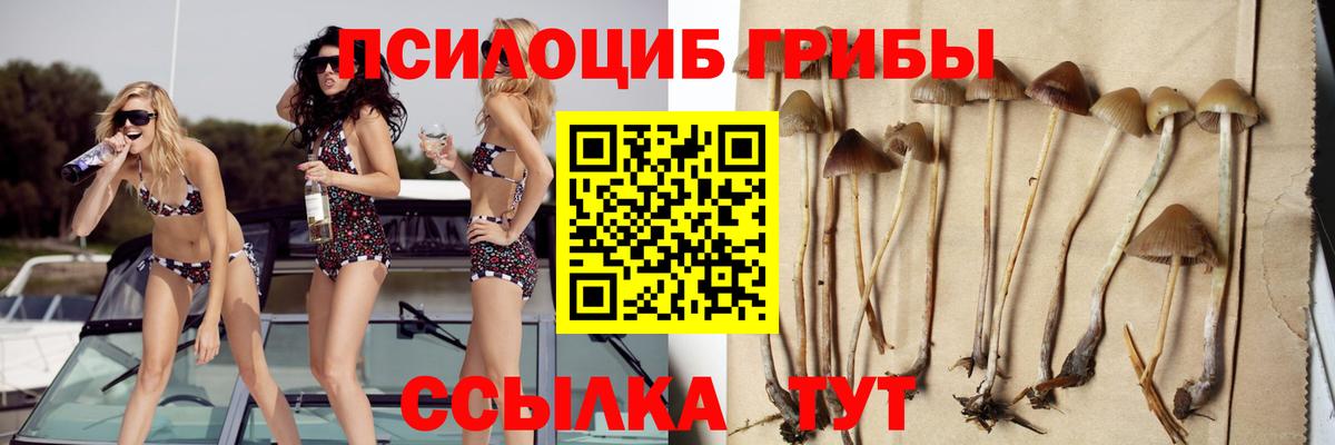 Галлюциногенные грибы GOLDEN TEACHER  Галлюциногенные грибы мухоморы  Вход с VPN  Воркута 