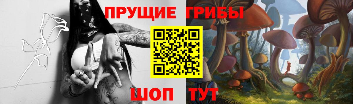 Галлюциногенные грибы Psilocybine cubensis Воркута